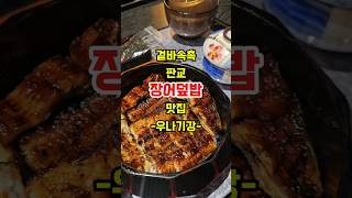 겉바속촉의 정석 판교 장어덮밥 맛집 우나기 판교맛집 장어 장어덮밥 분당맛집 맛집 먹방 [upl. by Atteuqal455]