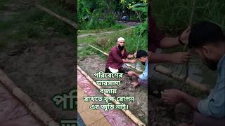 আসুন বৃক্ষ রোপন করি। tree foryou shorts Tree DeeniEnvironment [upl. by Hewe]