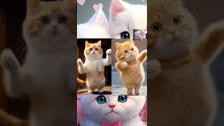 cutecats dance 💖💖shortsviralyoutubeshortsytshortsviralshortsshortsfeeds [upl. by Bonner]