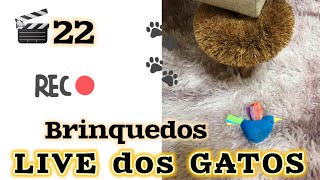 LIVE 22  Brinquedos dos Gatos [upl. by Halima]