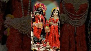 Radhe Radhe 🙏🏻 radheradhe radheshyam shyamaaanbaso premmandirvrindavan chanderhat radharani [upl. by Aratas575]