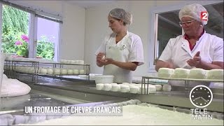 Conso  Crottin de Chavignol  Un savoirfaire 100 français [upl. by Allemaj]