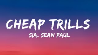 CHEAP TRILLS song with lyrics by sia sean paul [upl. by Marie-Ann391]