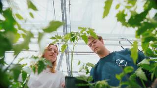 Plantenwetenschappen bij Wageningen University amp Research  Ontdek deze opleiding  WURtube [upl. by Aniez389]