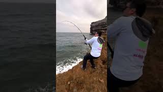 Amberjack from shore oman fishing waves fishinglife bigfish flm life seriole omanfishing [upl. by Semela349]