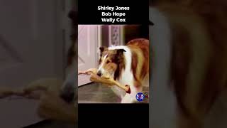 Lassie Is Stealin Chickens  Lassie Spoof  Bob Hope Shirley Jones Wally Cox [upl. by Dahc151]