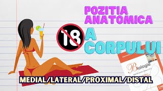 Pozitia Anatomica Pentru Medicina Medial vs Lateral [upl. by Aryam428]