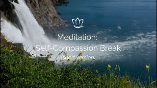 Meditation Self Compassion Break with Chris Germer short version [upl. by Icats10]