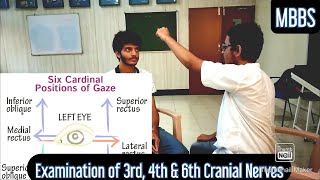 Examination of 3rd 4th amp 6th Cranial Nerves  MUHS  mbbs neetpg practical medicine cns [upl. by Telrats]