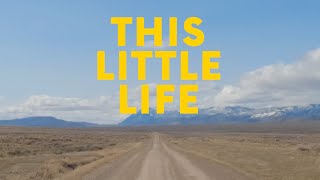 Tom Rosenthal  This Little Life Lyrics [upl. by Naima]