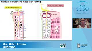 Ateneo SASO Disfunción de las glándulas de Meibomio DGM [upl. by Yelraf]