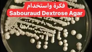 فكرة واستخدام Sabouraud Dextrose Agar [upl. by Gustave141]