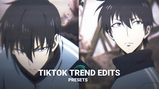 Top 3 Tiktok Trend Edits Presets 3  XML [upl. by Eniamart750]