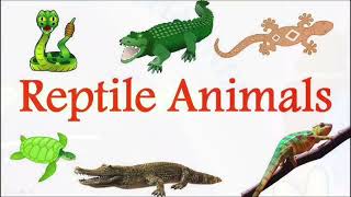 Reptiles Name in Hindi and English  Reptiles Animals Name [upl. by Agn]