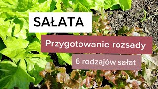 Sałata przygotowanie rozsady 6 rodzajów sałat masłowa krucha dębolistna rzymska rukola mizuna [upl. by Hanahsuar961]