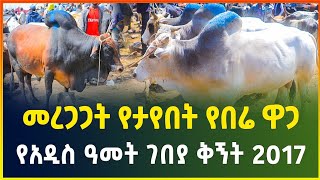 የአዲስ ዓመት ገበያ ቅኝት  መረጋጋት የታየበት የበሬ ዋጋ 2017  New year market review  Gebeya  Ethiopia [upl. by Ellerihs90]