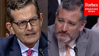 JUST IN Ted Cruz Grills Judicial Nominee Following Chesa Boudin Recall [upl. by Fredrick]