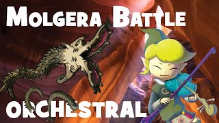 Molgera Battle  The Wind Waker Orchestral Remix [upl. by Eeleak427]