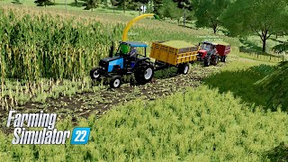 Série Arrozeira 8 quotArroz do Gian finalizadoquot mapa Ribeirão Jundiá mapa para Farming Simulator 22 [upl. by Stefania888]