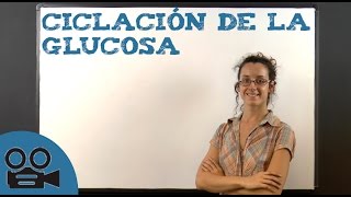 Ciclación de la glucosa [upl. by Wurst241]