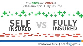 The Pros and Cons of Self Insured vs Fully Insured [upl. by Ahsoem824]