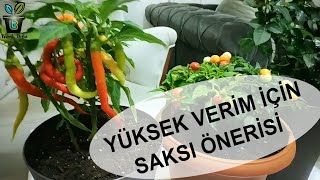 SAKSI DEÄžÄ°ÅžÄ°MÄ°  SAKSI Ã‡EÅžÄ°TLERÄ° ve SAKSI TOPRAÄžI [upl. by Gensler]