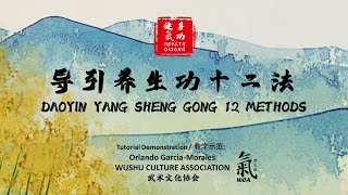 Health Qigong  Daoyin Yangsheng Gong 12 Methods 导引养生功十二法 Tutorial Demo by Orlando GarciaMorales [upl. by Penthea]