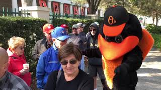 Orioles Spring Training 2019 Tickets on Sale Now [upl. by Nagaem]