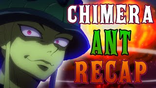 Hunter x Hunter Chimera Ant Arc RECAP [upl. by Harli650]