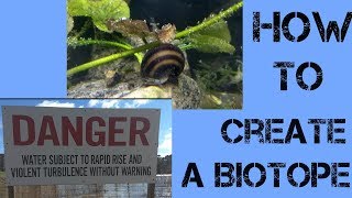 How to create a Biotope [upl. by Benenson711]