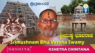 SRIMUSHNAM BHU VARAHASWAMY  Kshetra Chintana  Vid A V Nagasampige Achar [upl. by Ariamo]