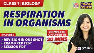 Respiration in organisms Class 7 Full chapter under 20 mins  BYJUS [upl. by Chapnick]