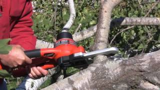 Black amp Decker Alligator Saw [upl. by Stoller820]