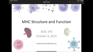 Immunology Fall 2023 Lecture 14 MHC Structure and Function [upl. by Roderick606]