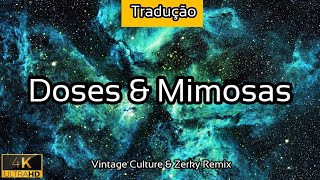 Doses amp Mimosas  TRADUÇÃO Vintage Culture amp Zerky Remix  2021  4K [upl. by Shermy355]