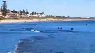 COTTESLOE BEACH PERTH WESTERN AUSTRALIA TRENDING SHORTVIDEO [upl. by Shiekh]