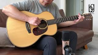 Goodall TROM  Adirondack Spruce  Madagascar Rosewood [upl. by Eidnalem36]