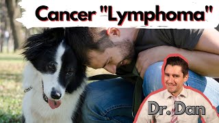 Does your dog have cancer Lymphoma in the Dog Vet explains symptoms diagnosis and treatment [upl. by Fougere]