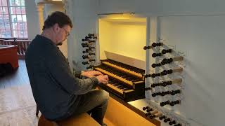 Sietze de Vries enjoys the reed stops on the Großen Kirche organ Leer Ostfriesland [upl. by Codd]