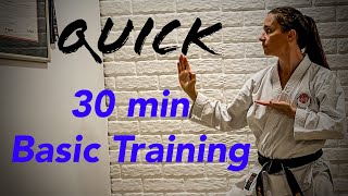 Karate workout 30 min basic training [upl. by Assetak]