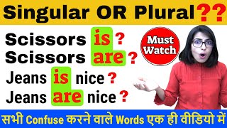 Common Grammar Mistakes in English Confusing Nouns Singular or Plural [upl. by Oiril]