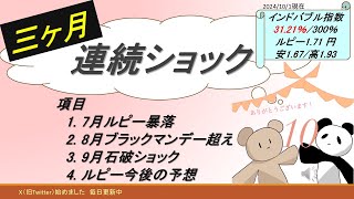 三ヶ月連続ショック【インドバブル指数3121％300％】 [upl. by Sarnoff]