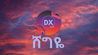 ROPHNAN  SHEGIYE  ሸግዬ  Lyrics  Dx mix New Ethiopian Music 2024 Lyrics [upl. by Anivol622]