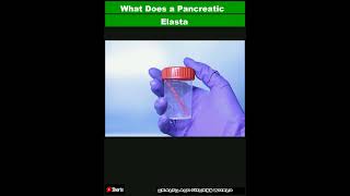 What Does a Pancreatic Elastase Test Measure and What Do the Results MeanShorts [upl. by Dara]