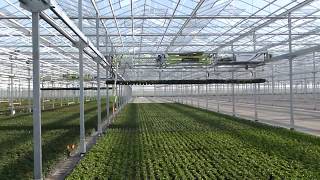 Planten transport bij kwekerij WoutersGreenhouse plant transportAchterbosch Machinebouw 2 [upl. by Lleddaw253]