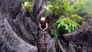 Day3  Palawan Canopy Walk [upl. by Piscatelli827]