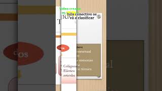 Tejido conectivo tema completo  tejidoconectivo tejidoconjuntivo fibrascolagenas histologia [upl. by Knighton]