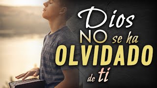 Dios no se ha olvidado de ti  Reflexiones cristianas [upl. by Truscott]