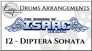 12  Diptera Sonata  The Binding Of Isaac Drum Arrangement [upl. by Annavoeg]