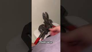 Another flush valve replacement bluecollar plumbing drinkingfountain tools plumber plumping [upl. by Atiuqcaj584]